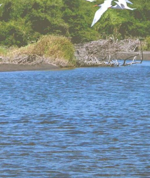 粉象生活官方邀请码哪一个是真的