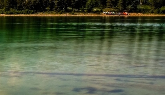 粉象生活邀请id