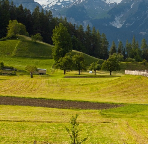 粉象生活哪个领域最赚钱