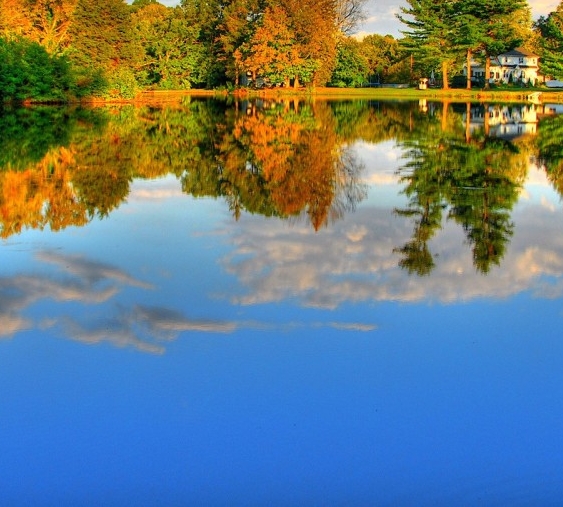 粉象生活怎么赚钱?操作一个月收入3