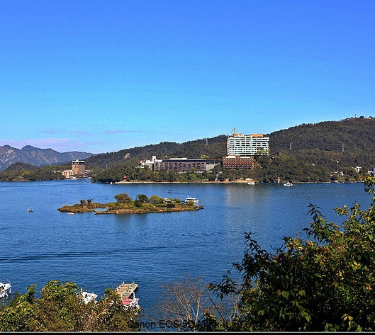 粉象生活会员