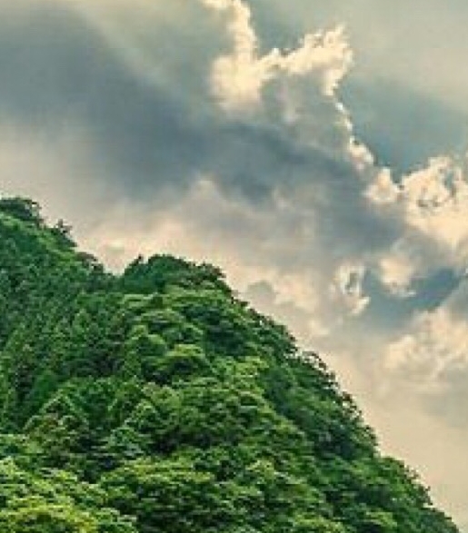 粉象生活的支付宝怎么用