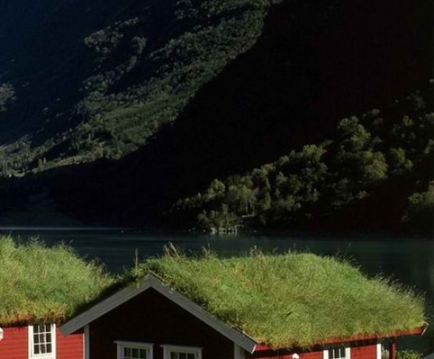 粉象生活登录界面