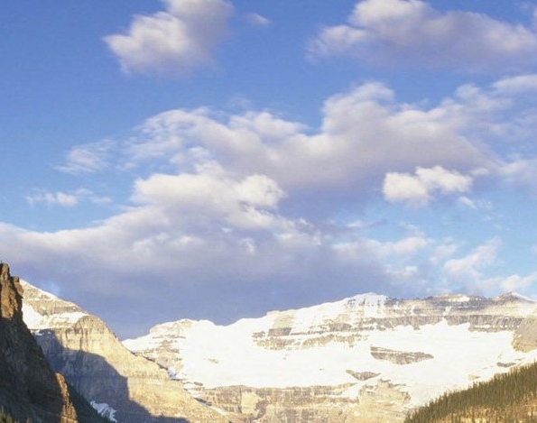 粉象生活邀请码