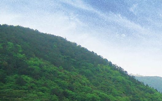 三亚生活成本高吗