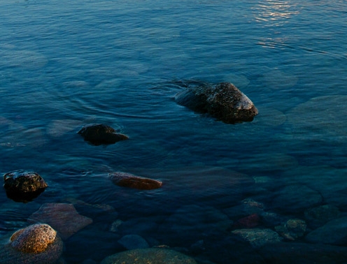 粉象生活注册收入