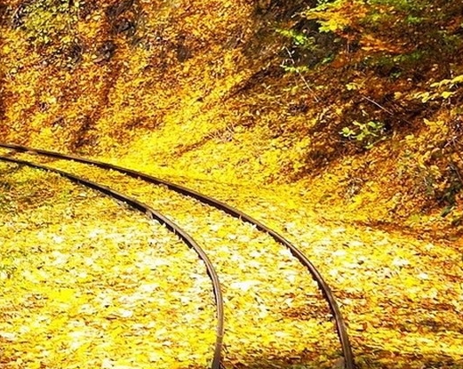 湖州粉象生活邀请码