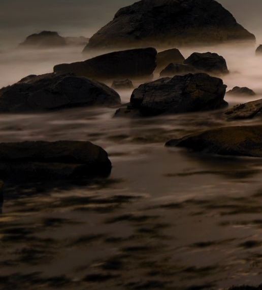 粉象生活在哪里可以注册