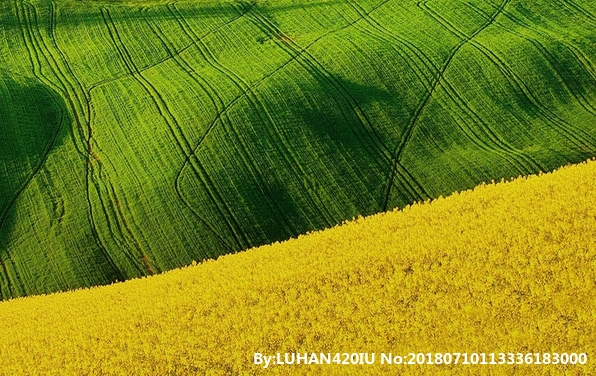 粉象邀请人有佣金吗