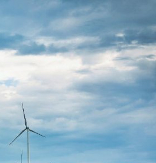 粉象生活邀请码