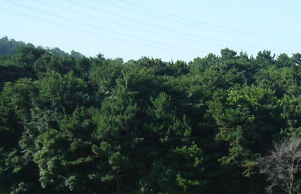 粉象生活怎么解除注册