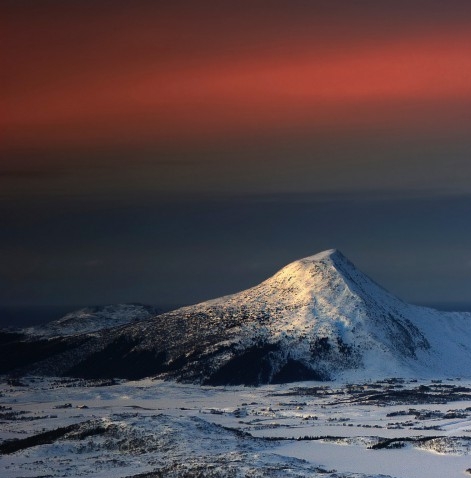 菏泽粉象生活代理登录注册