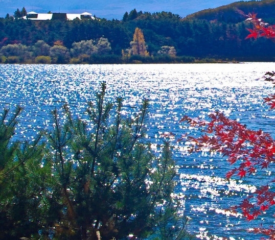 粉象生活登录淘宝