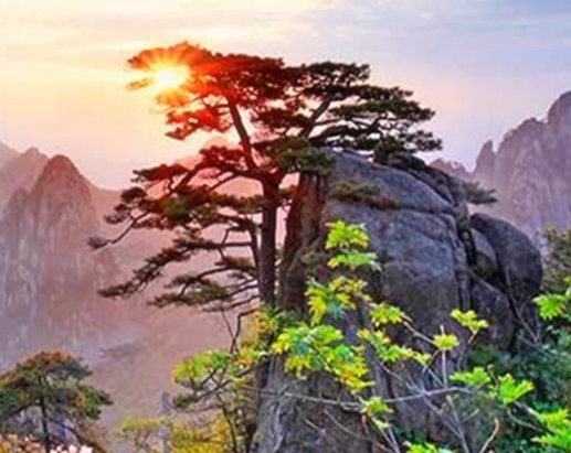 粉象生活数据采集