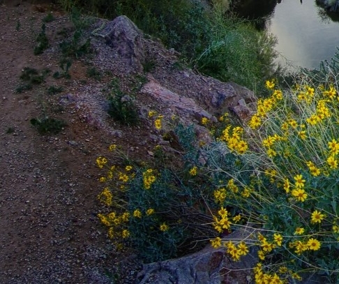 粉象生活的邀请码是什么意思