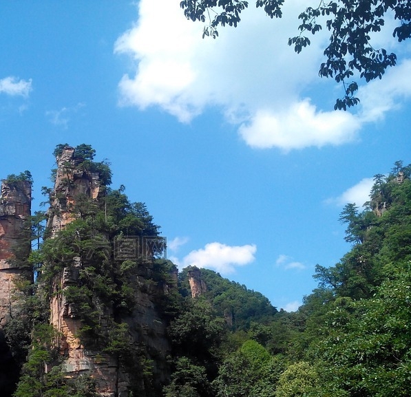 粉象生活下载app