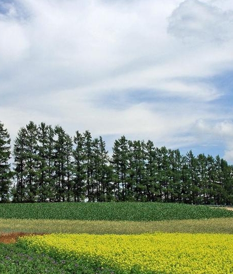 粉象生活邀请码