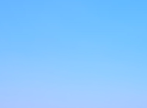 阿里的本地生活是什么