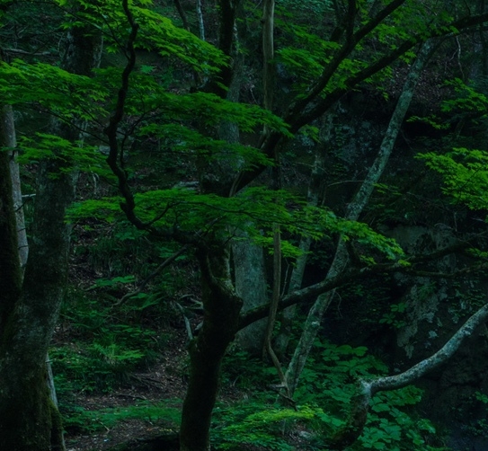 粉象生活第一个是怎么注册的