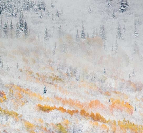 粉象生活淘宝怎么注册