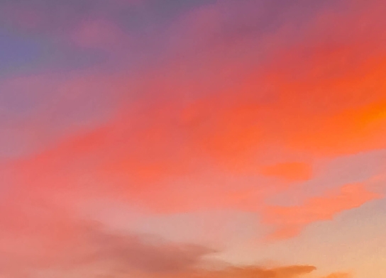 广安粉象生活代理