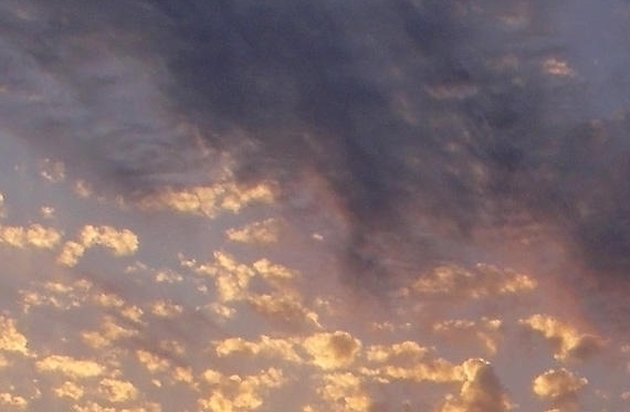 粉象生活怎么搜索