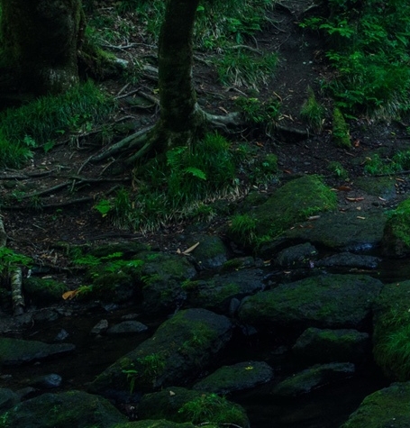 粉象生活怎么赚钱