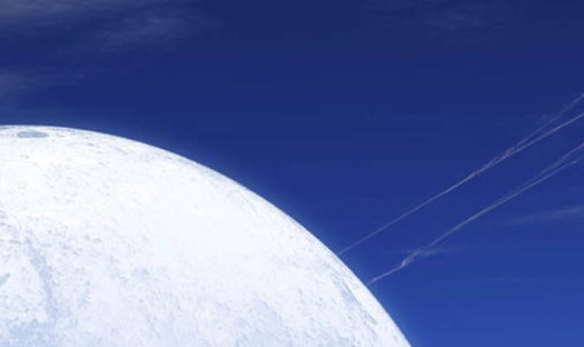 粉象生活有没有官网