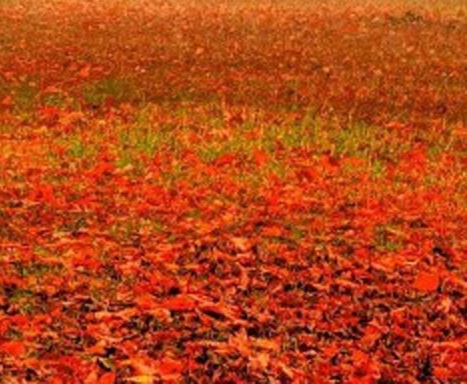 粉象生活能赚到钱吗