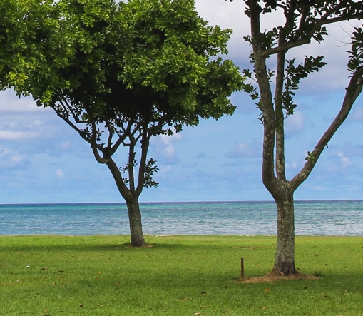 粉象生活邀请码