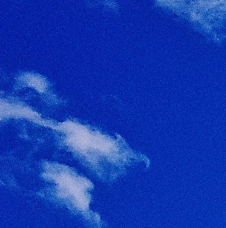 粉象生活更新app