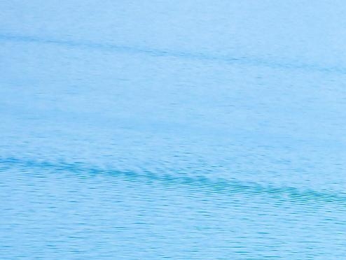 粉象生活怎么用淘宝