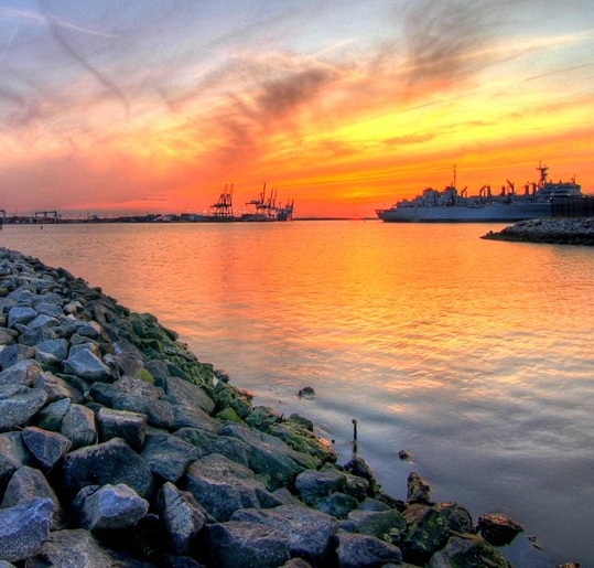 粉象生活必须要买会员吗