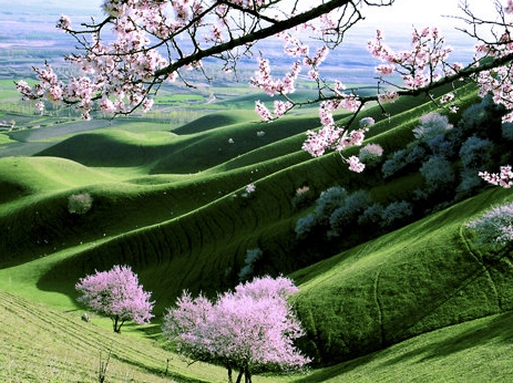 湖南运营粉象生活赚钱么