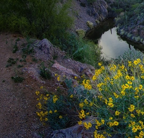 粉象生活的注册账号在哪