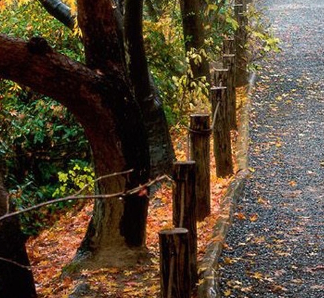 粉象生活怎么查看账号