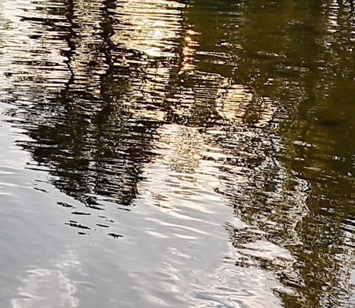 粉象生活是什么?