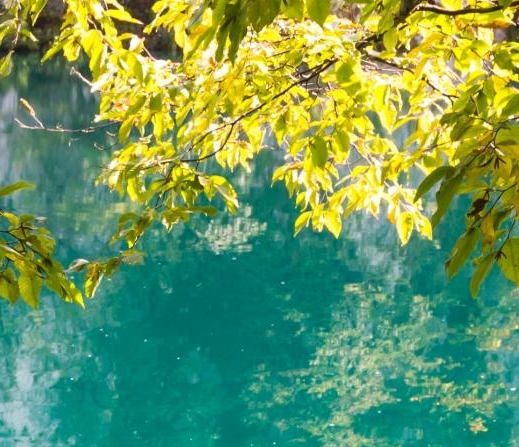 粉象生活邀请码