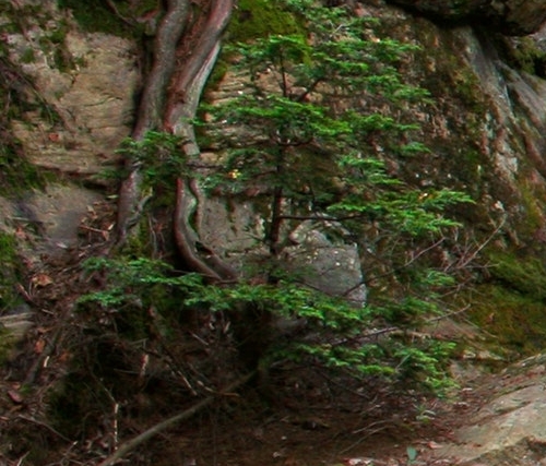粉象生活股权