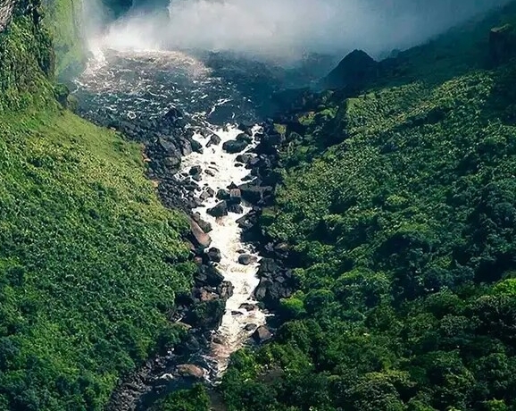无锡粉象生活注册