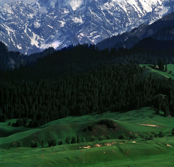 常州粉象生活vip