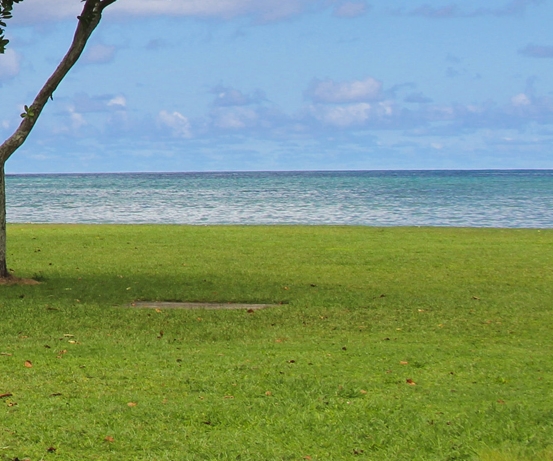 粉象生活怎么解除注册