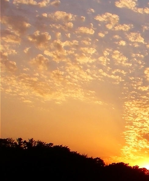 粉象生活下载了在哪注册