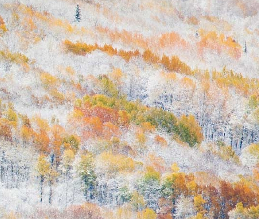 粉象生活我注册