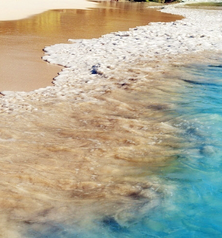 白象大象