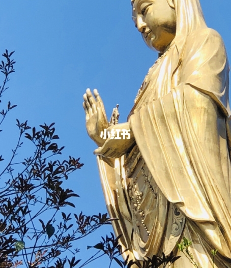 粉象生活月赚万元