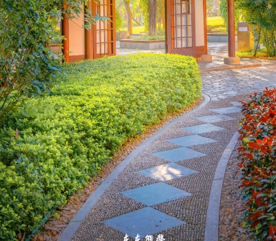 粉象生活邀请码