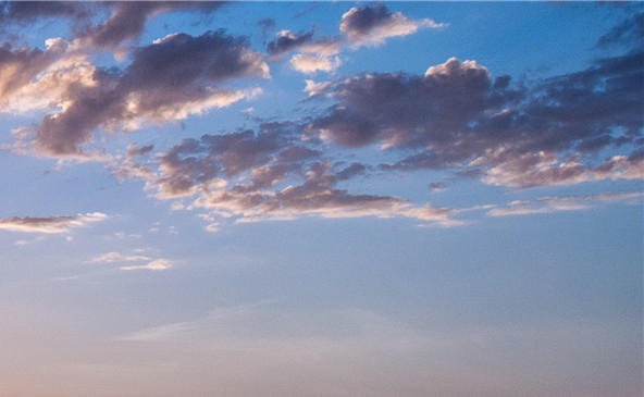 粉象生活开店免费吗