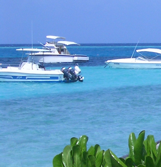 粉象生活最新优惠