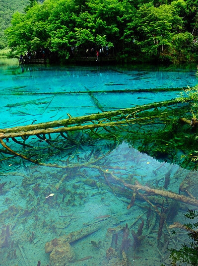 粉象生活能不能分享赚钱